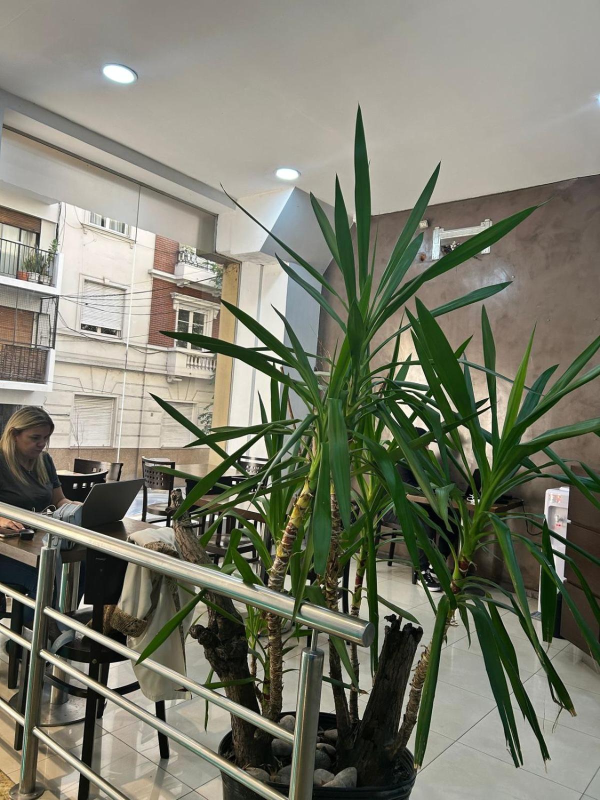בואנוס איירס Hostel Che Ba מראה חיצוני תמונה